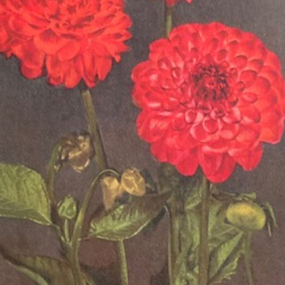 Happy Poshing! - Picture 7 of 16